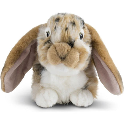 Long Eared Rabbit AN316B - ToyTime