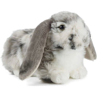 Lop Eared Rabbit Gray AN316G - ToyTime