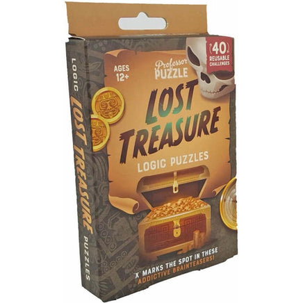 Lost Treasure Logic Puzzle - ToyTime