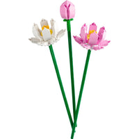 Lotus flowers 40647 - ToyTime