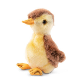 Mallard Duckling - ToyTime