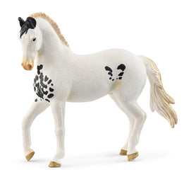Marwari Stallion 14898 - ToyTime