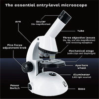 Microscope - ToyTime