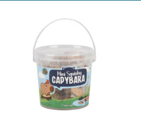 Mini Capybara Squishy Tub - ToyTime