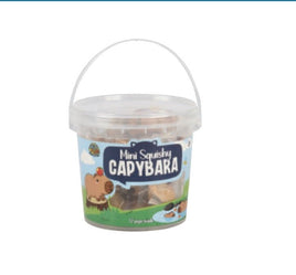 Mini Capybara Squishy Tub - ToyTime