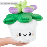 Mini Succulent 7 inch...@Squishables - ToyTime