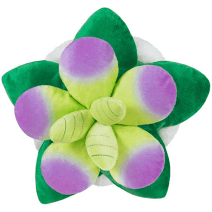 Mini Succulent 7 inch...@Squishables - ToyTime