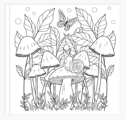 Mushroom Coloring Book - ToyTime