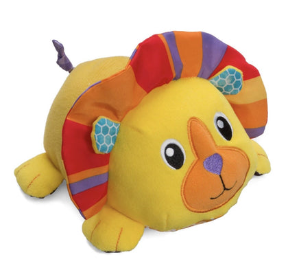 Musical Mover & Shaker - ToyTime