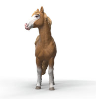 Mustang Mare 14920 - ToyTime
