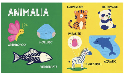 My first 100 nature words - ToyTime