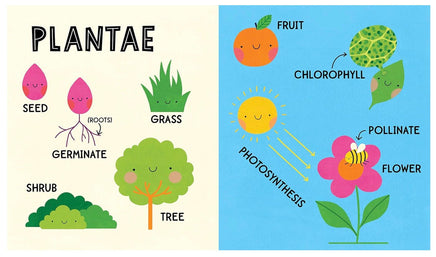 My first 100 nature words - ToyTime
