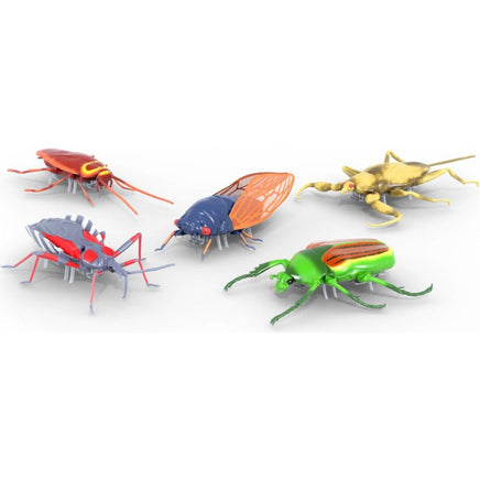 Nano real bugs 5pk - ToyTime