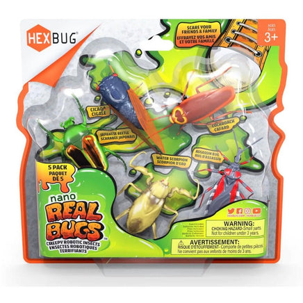 Nano Real Bugs..@Innovative_Kids - ToyTime