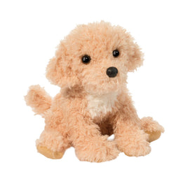 Noodle Golden Doodle 2000 - ToyTime