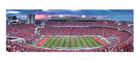 Ohio State Football Panoramic 1000pc - ToyTime