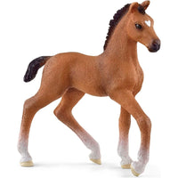 Oldenburg Foal 13947 - ToyTime