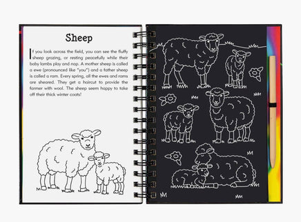 On The Farm Scratch and Sketch Book - ToyTime