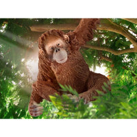 Orangutan Female 14775...@Schleich - ToyTime