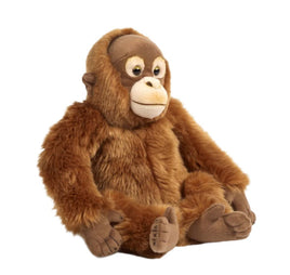 Orangutan Plush - ToyTime