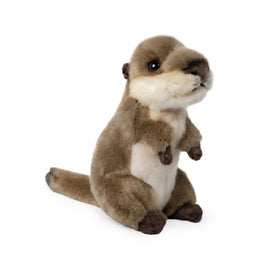 Otter natural living - ToyTime