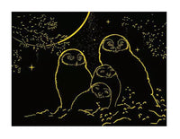 Owls in the Moonlight 500pc Puzzle - ToyTime