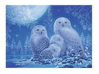 Owls in the Moonlight 500pc Puzzle - ToyTime