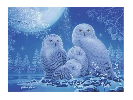 Owls in the Moonlight 500pc Puzzle - ToyTime