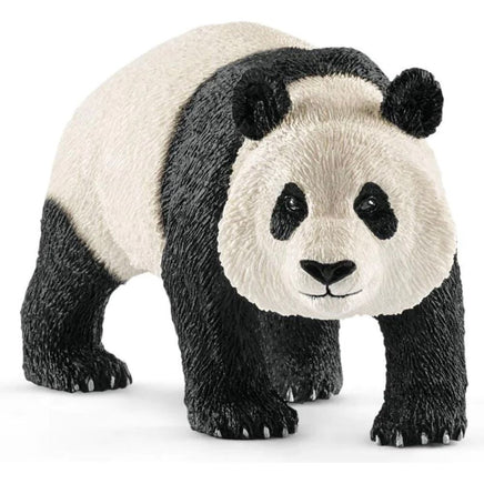 Panda Male 14772...@Schleich - ToyTime