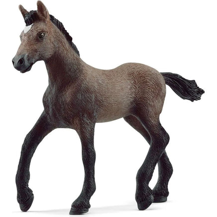 Paso peruano foal 13954 - ToyTime