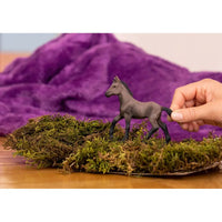 Paso peruano foal 13954 - ToyTime