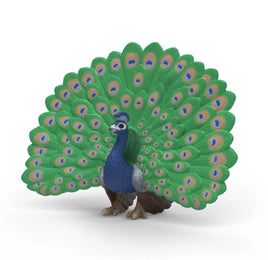 Peacock 14926 - ToyTime