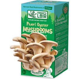 Pearl Oyster Mushrooms - ToyTime