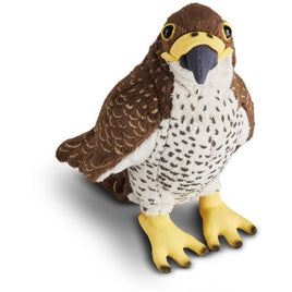 Peregrine Falcon AN559 - ToyTime