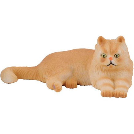 Persian cat lying down - ToyTime