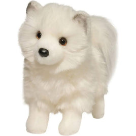 Phoebe White Pomsky 1704@Douglas - ToyTime