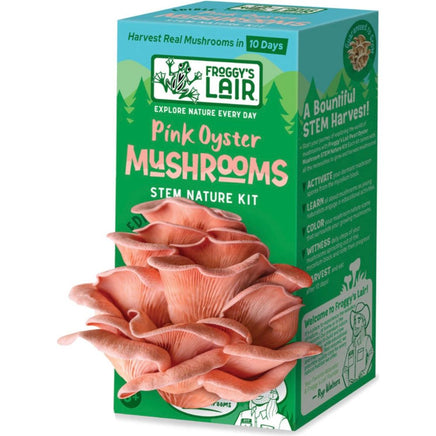 Pink Oyster Mushrooms - ToyTime