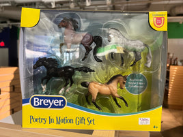 Poetry in motion gift set - ToyTime