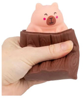 Pop Squeezy Capybara - ToyTime