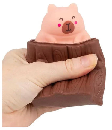 Pop Squeezy Capybara - ToyTime