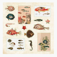 Poseidons Kingdom Sticker Book - ToyTime