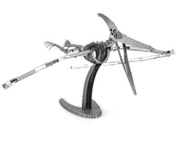 Pteranodon Skeleton - ToyTime