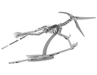 Pteranodon Skeleton - ToyTime