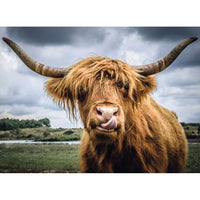 Puzzle Moments: Highland Cattle 300 pc Puzzle - ToyTime