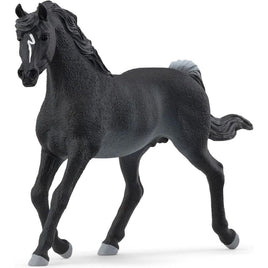 Rabicano Arabian Stallion 13981 - ToyTime