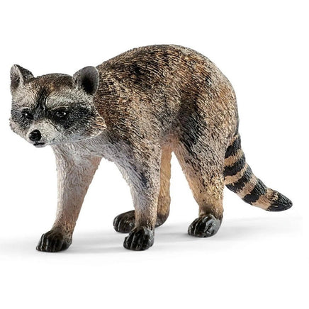 Raccoon 14828...@Schleich - ToyTime