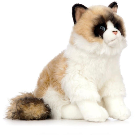 Ragdoll Cat AN567 - ToyTime