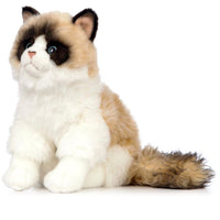 Ragdoll Cat AN567 - ToyTime