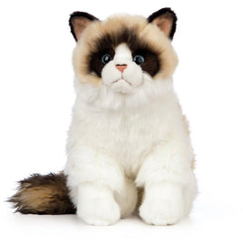 Ragdoll Cat AN567 - ToyTime