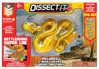 Rattlesnake Super Lab - ToyTime